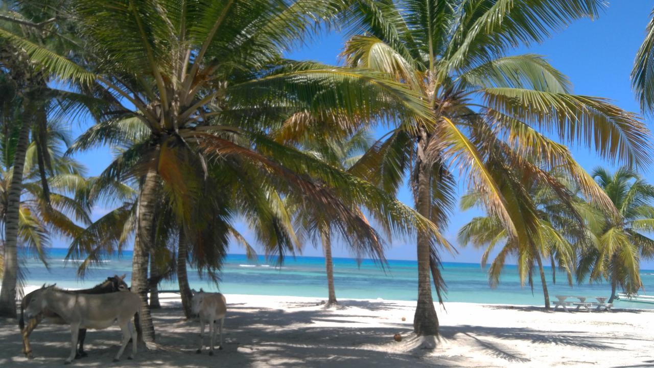 Saona Beach House Mano Juan Exterior foto