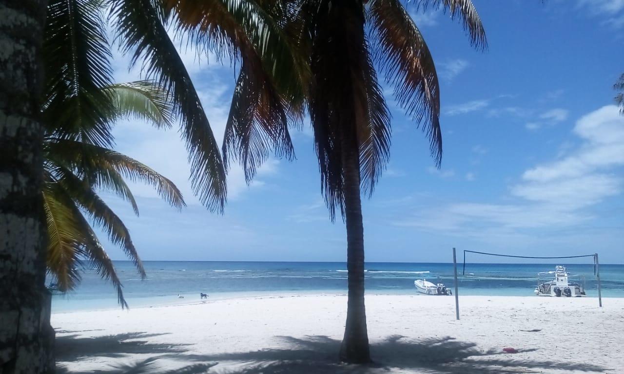 Saona Beach House Mano Juan Exterior foto